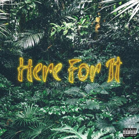 Here for It (feat. Suave the Don, Souly Had & Hunna G)