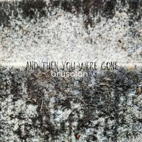 And Then You Were Gone