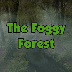 The Foggy Forest