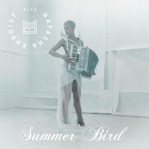 Summer Bird