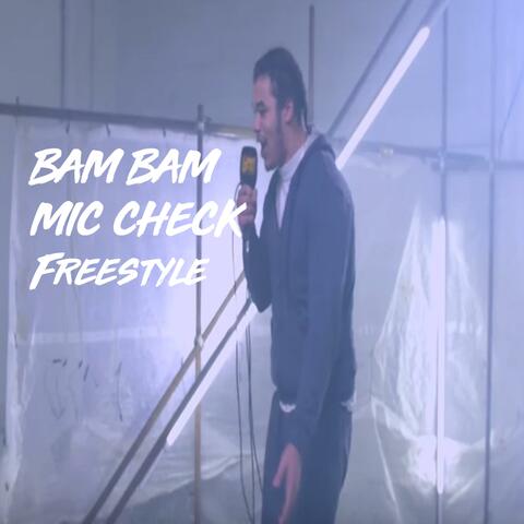 Mic Check Freestyle (feat. Bam Bam)