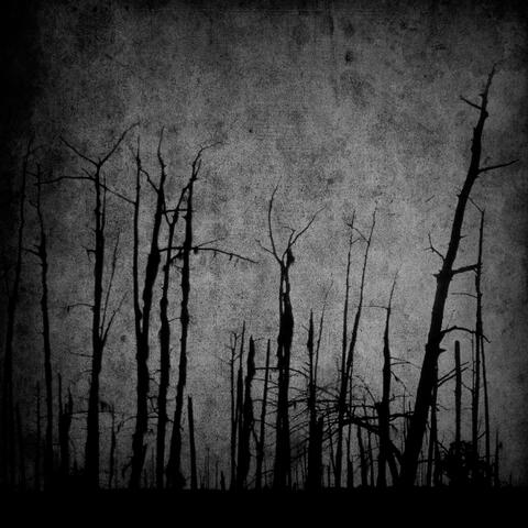 Dawn of the eclipse (EP)