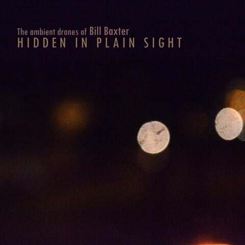 Hidden in Plain Sight