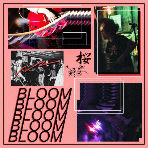 Bloom (Demos)