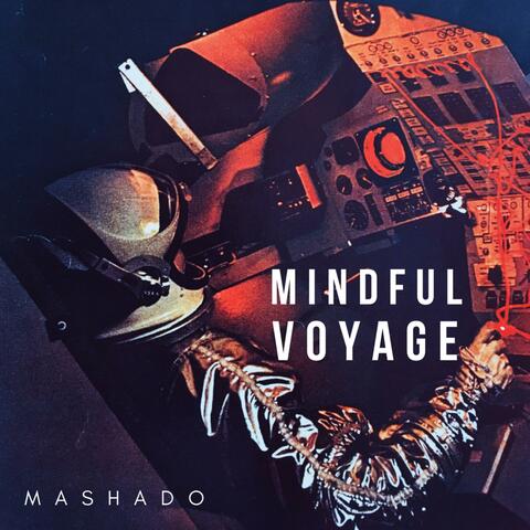 Mindful Voyage