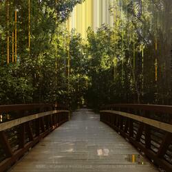 Alan at Emma's Cradle