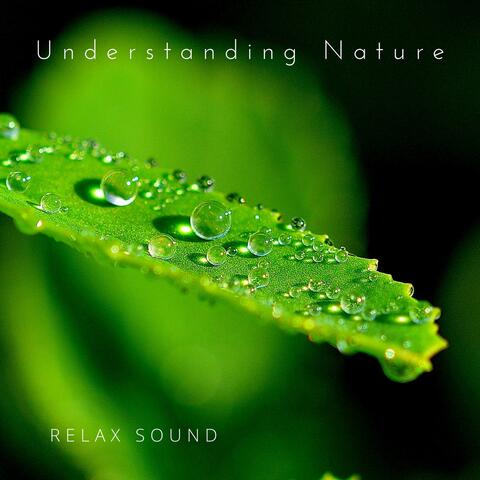 Understanding Nature