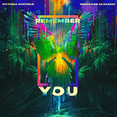 Remember You (feat. Sebastian Olzanski)