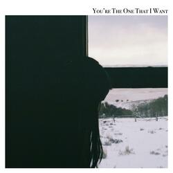 You're the One That I Want (feat. Samantha Brewer)