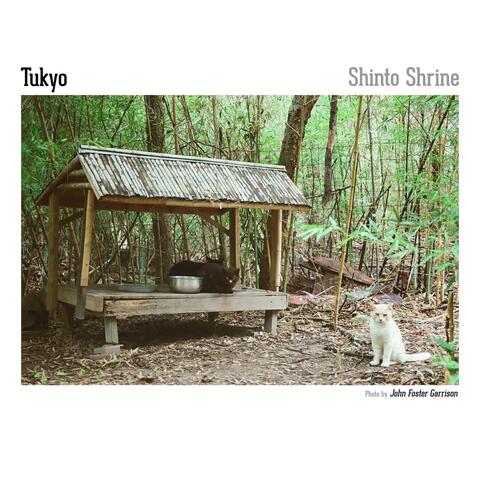 Shinto Shrine