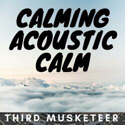 Calming Acoustic Calm Songs