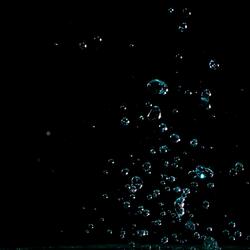 Every Drop