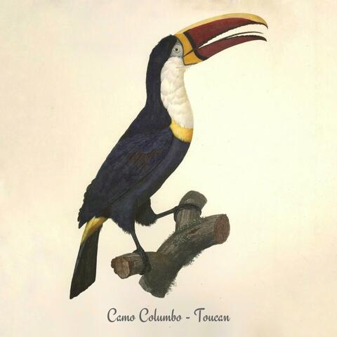 Toucan
