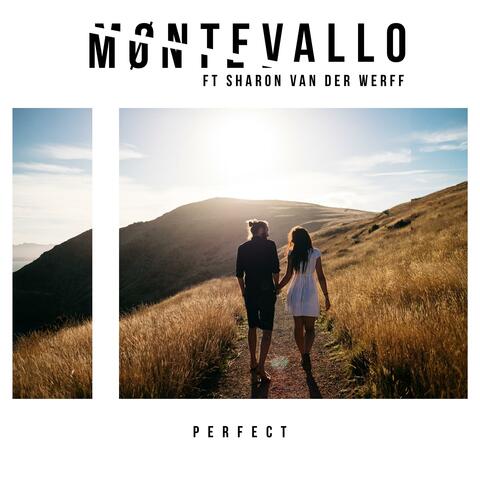Perfect (feat. Sharon Van Der Werff)