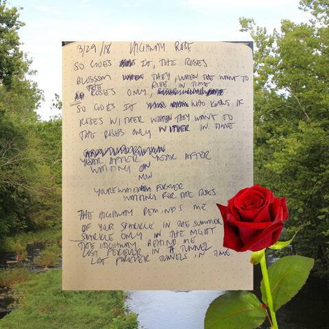 Highway Rose