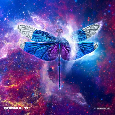 Domnul 11