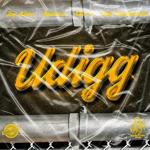 Udigg