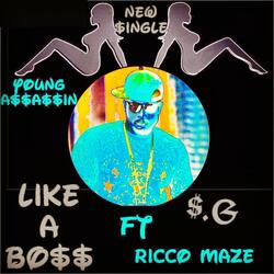 Like a Boss (feat. Ricco Maze)