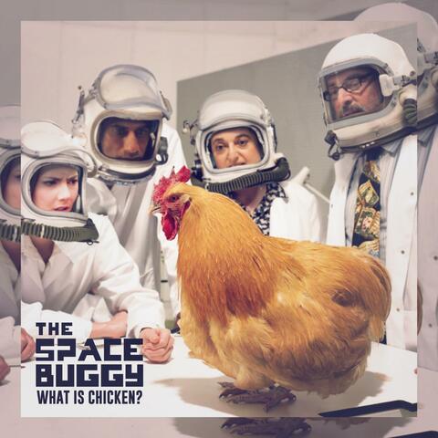 What Is Chicken?
