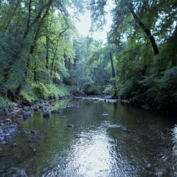 All Rivers Go to the Sea/(feat) Sirius Palau & Marin Gale