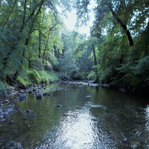 All Rivers Go to the Sea/(feat) Sirius Palau & Marin Gale