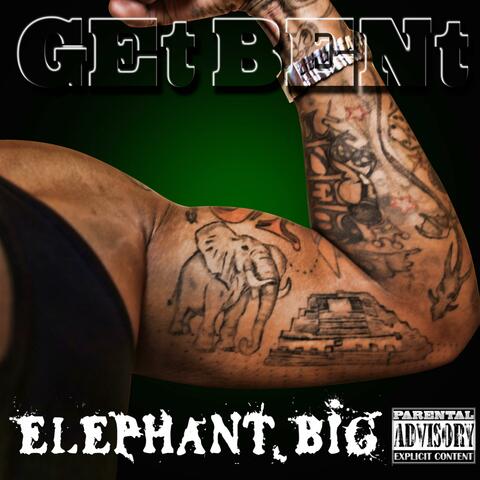Elephant Big