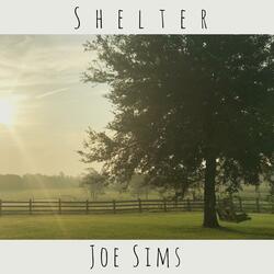 Shelter