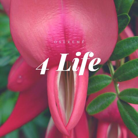 4 Life