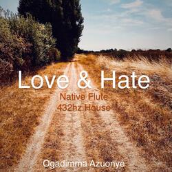 Love & Hate (Native Flute 432hz House)