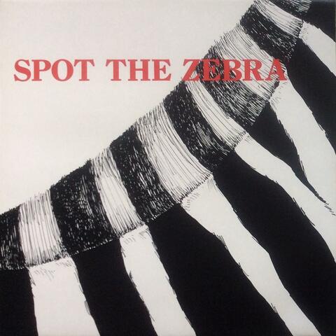 Spot the Zebra
