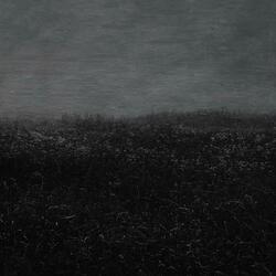 Penury / Is the Reason to Digest Bug Vomit