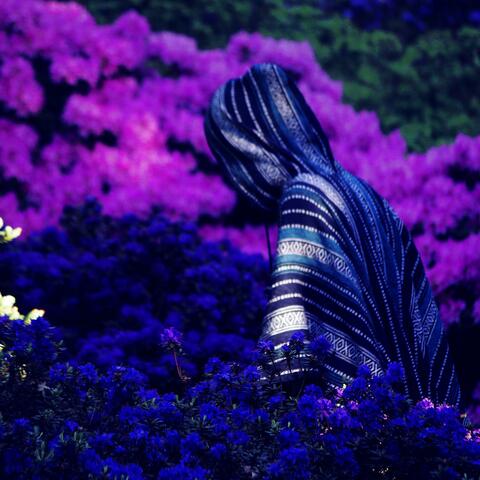 Space Tales and Medieval Stories