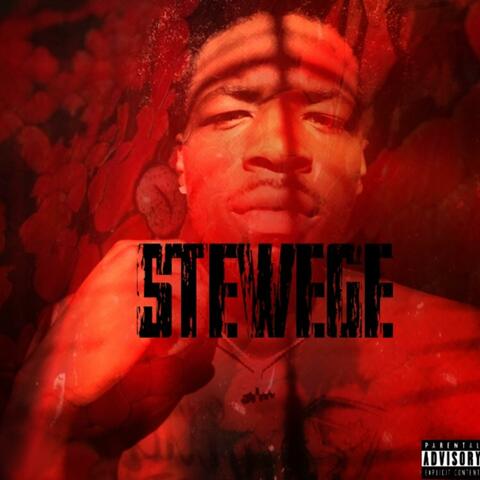 Stewege