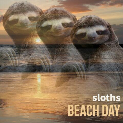 Beach Day
