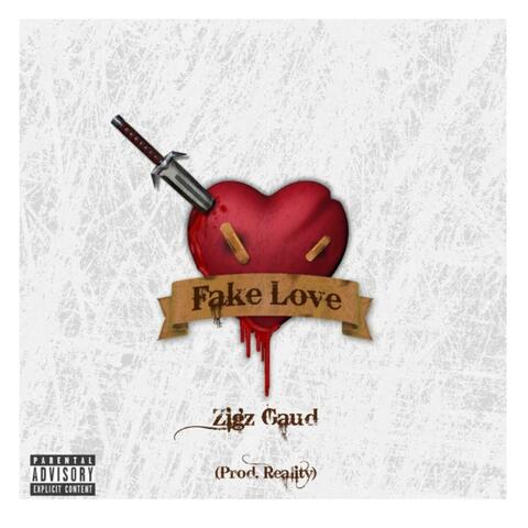Fake Love