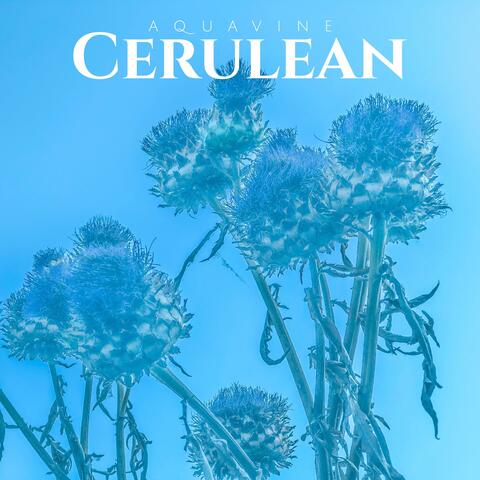Cerulean