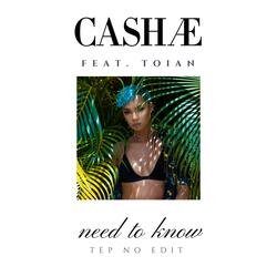 Need to Know (feat. Toian) [Tep No Edit] (Tep No Edit)