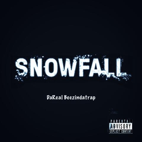 Snowfall
