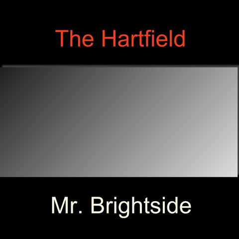 Mr. Brightside (Acoustic)