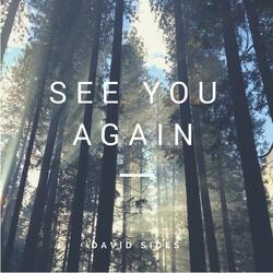 See You Again
