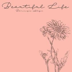 Beautiful Life