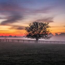 Thinking Again (Anshuman Garg) .