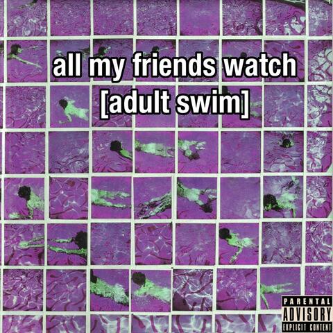 All My Friends Watch Adult Swim