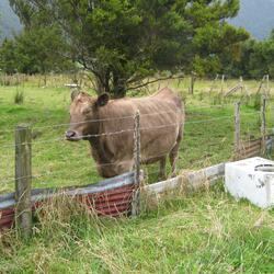 A Sign of Rain Australia