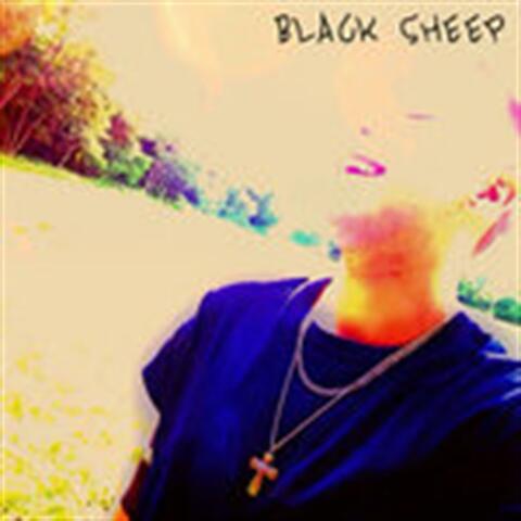 Black Sheep