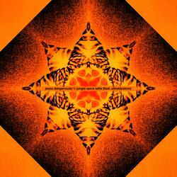 Pumpkin Spice Illuminatte