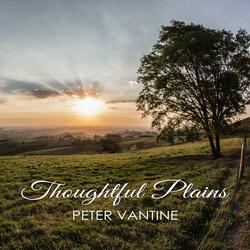 Thoughtful Plains