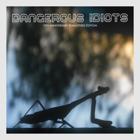 DANGEROUS IDIOTS