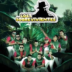 Cumbia Chapulinera