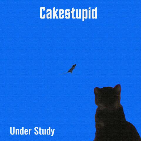 Under Study